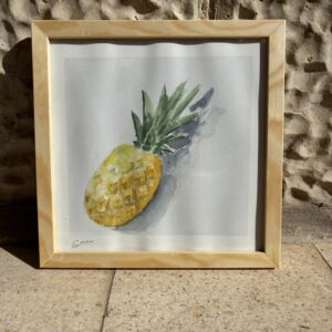 האננס - סידרת הפירות